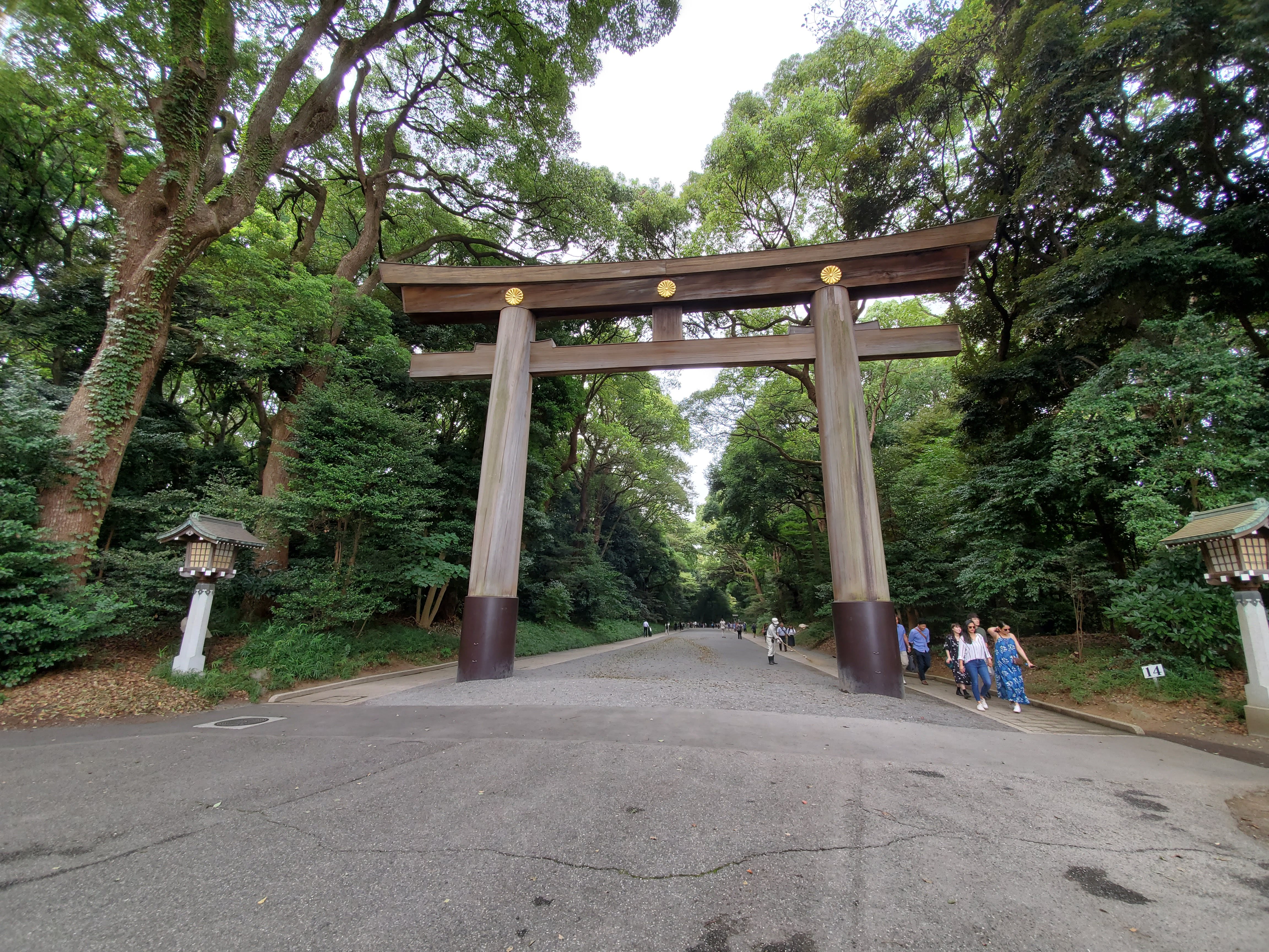 明治神宮 都内最強と噂のパワースポットについに参拝してきました 東京アラフォーシェアハウス暮らし